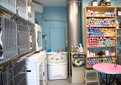 ������ʱ - �������ǲ�!